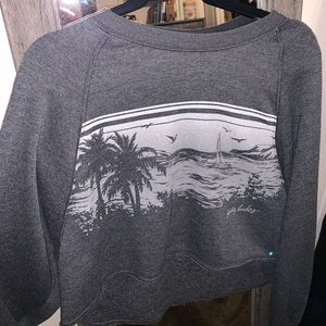 Hollister Cropped Sweater